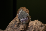 Empress Filigree Shield