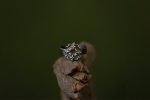 Gothic Romance Ring