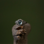 Nature's Guardian Ring