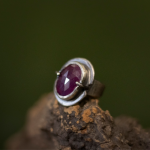 Ruby Claw Ring