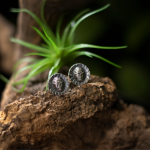 Sun King's Scarab Amuletss