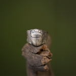 Flight of Khepri Signet Ring